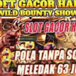 Mengulik Sensasi Wild Bounty